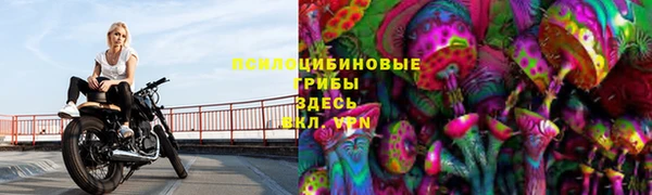 герыч Абинск