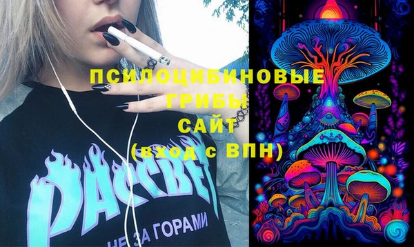PSILOCYBIN Армянск