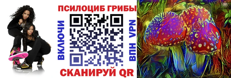 Псилоцибиновые грибы Psilocybine cubensis  кракен онион  Топки 